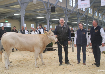 Rind "Joba" aus unserer Zucht